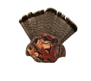 Grouse tail plaque mount.