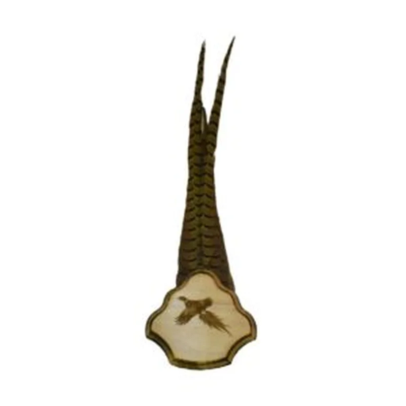 Pheasant Plaque- Engraved Hardwood