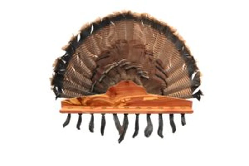 hardwood turkey fan and beard plaque