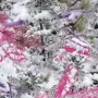 Snow Blush