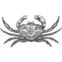 Beach - Crab