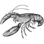 Beach - Lobster