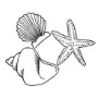 Beach - Shells