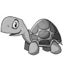 Children - Turtle