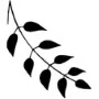 Hearts & Flowers - Fern