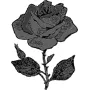 Hearts & Flowers - Rose