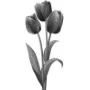 Hearts & Flowers - Tulips