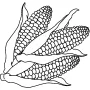 Home & Country - Corn