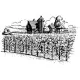 Home & Country - Farm