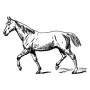 Home & Country - Horse
