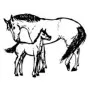 Home & Country - Horses