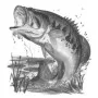 Outdoors - Bass