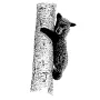 Outdoors - Bear Cub
