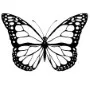 Outdoors - Butterfly