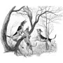 Outdoors - Coon Dogs