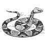 Outdoors - Copperhead