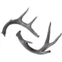 Outdoors - Deer Antlers
