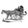 Outdoors - Mountain Lion