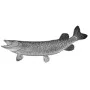 Outdoors - Northern Pike
