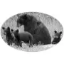 Scenic Images - Bear with Cubs