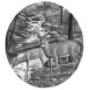 Deer Stream