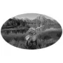 Elk