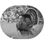 Scenic Images - Turkey Scene