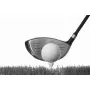 Sports & Hobbies - Golf