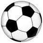 Sports & Hobbies - Soccer Ball