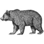 Taxidermy Plaque Engraving - Bear