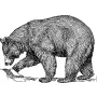 Taxidermy Plaque Engraving - Black Bear