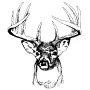 Taxidermy Plaque Engraving - Deer Head