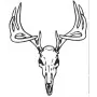 Taxidermy Plaque Engraving - Deer Skull