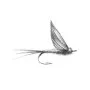 Taxidermy Plaque Engraving - Fishing Fly