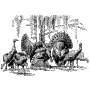 Taxidermy Plaque Engraving - Flock of Turkeys