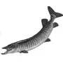 Taxidermy Plaque Engraving - Muskie
