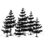 Taxidermy Plaque Engraving - Pine Trees