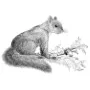 Taxidermy Plaque Engraving - Squirrel