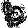 Taxidermy Plaque Engraving - Turkey Strutting
