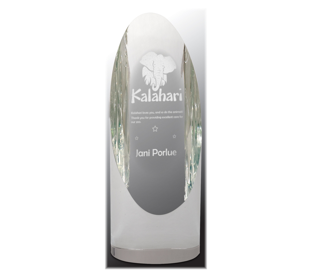 Crystal cylinder style award.