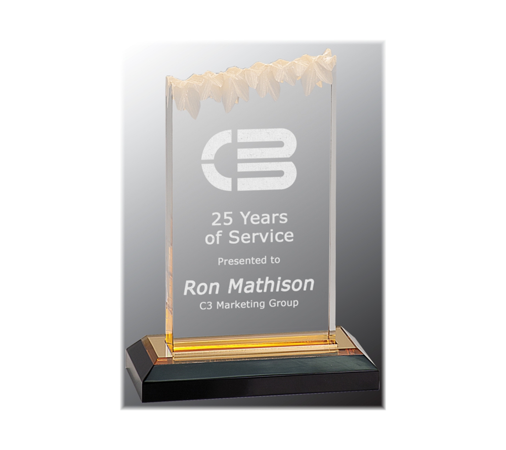 Frosted impress acrylic award with gold highlights.