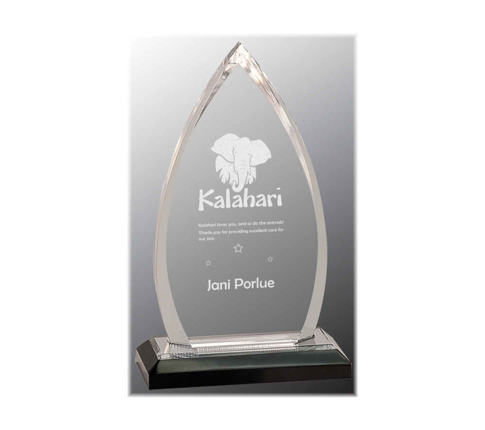 Oval impress acrylic award with silver highlights.