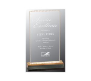 Reflection acrylic ice top award with gold highlights.