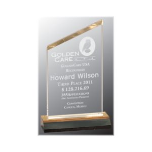Reflection acrylic peak top award with gold highlights.