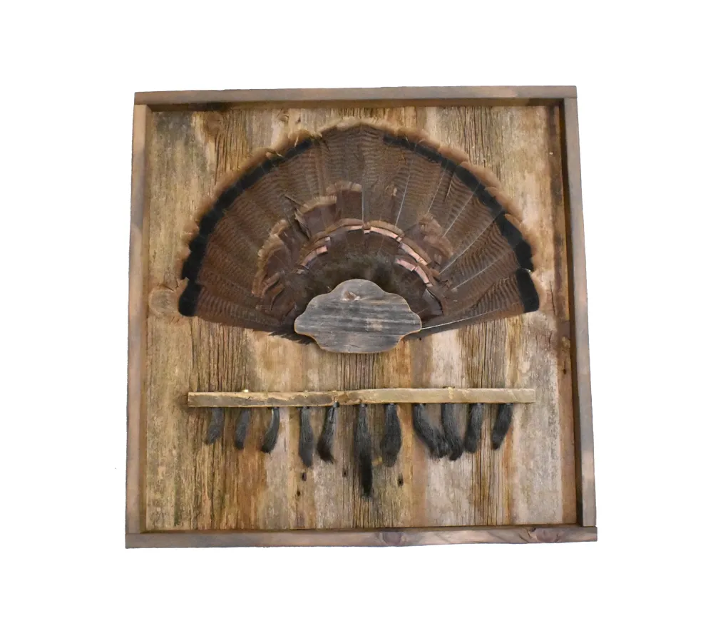 Barnwood shadow box with turkey tail cap and beard plate.