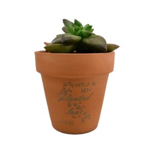 Planted In Love Engraved Terra Cotta Pot Wedding Favor