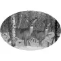 Deer Scene