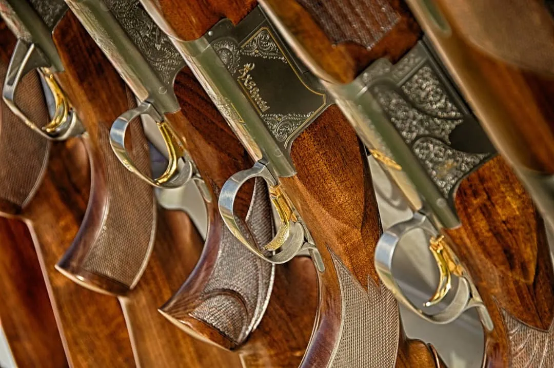 Collection of rifles with wooden handles.