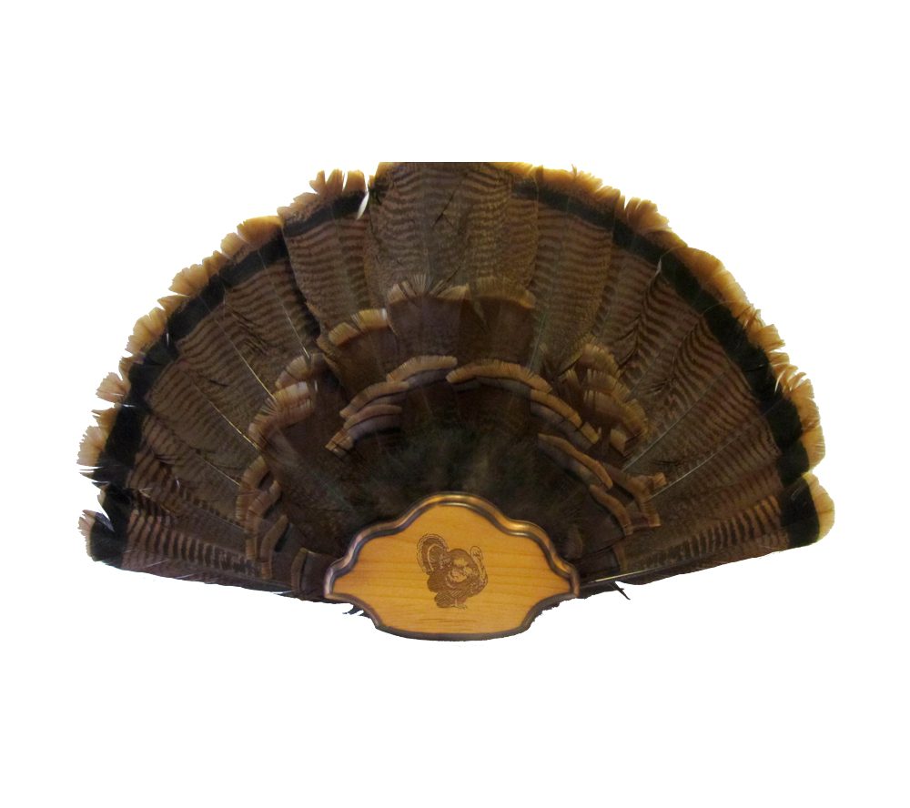 Turkey Fan Plaque with Custom Engraving