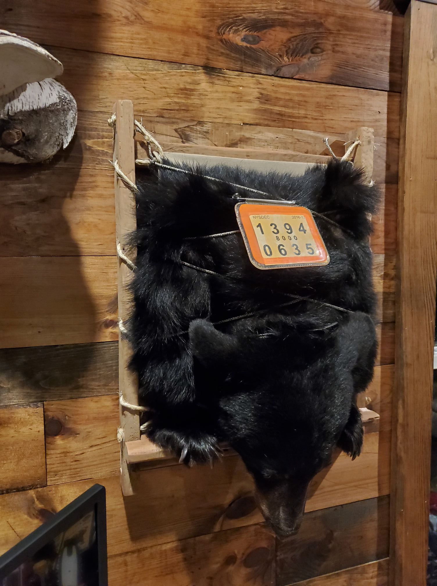 pack frame mount with black bear
